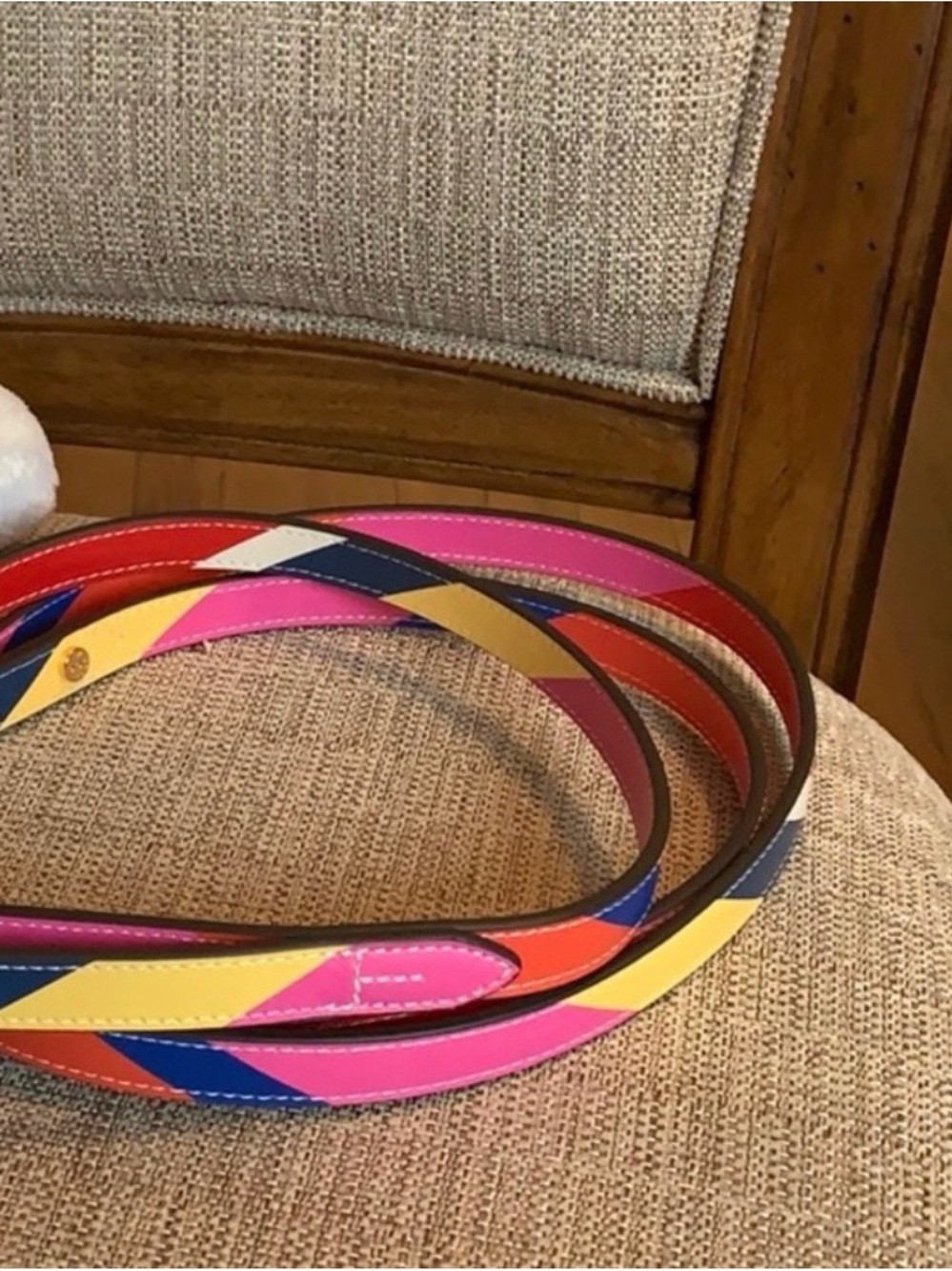 Tory Burch Multi Color Stripe Leather Dog Leash **NWOT** - Picture 9 of 9